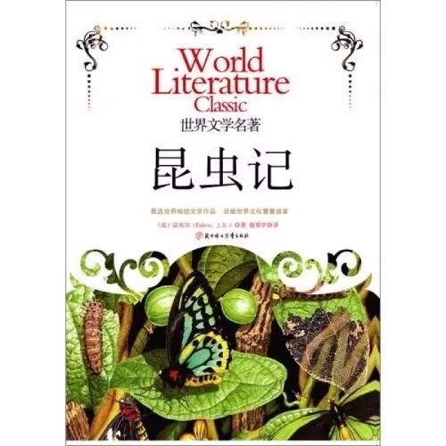 初中语文八上《昆虫记》知识汇编